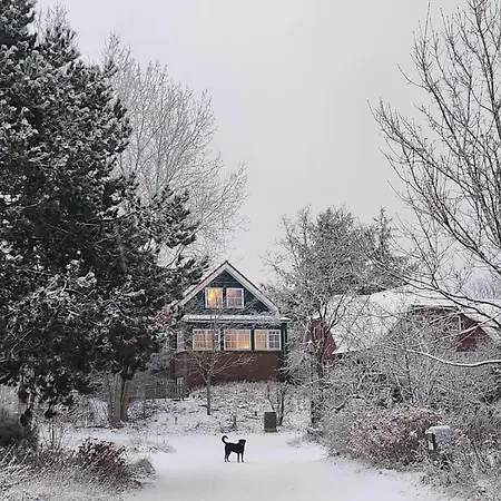 Haus Seeschwalbe - 4